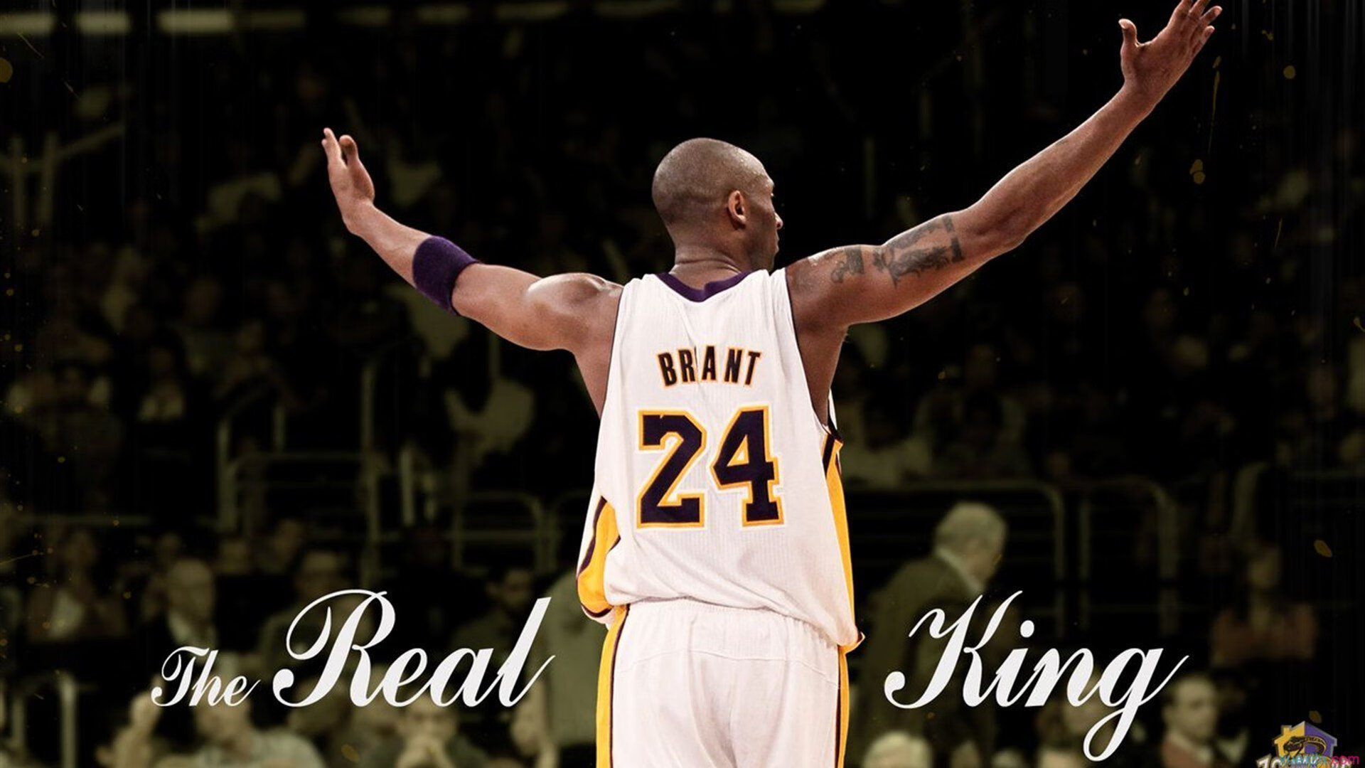 戴维斯杯轻取法网，鲁德关键制胜背后的网球哲学